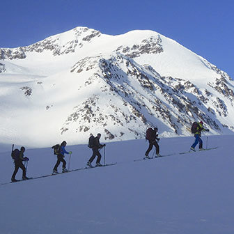 Ski Mountaineering to Mount Cevedale from Rifugio Larcher