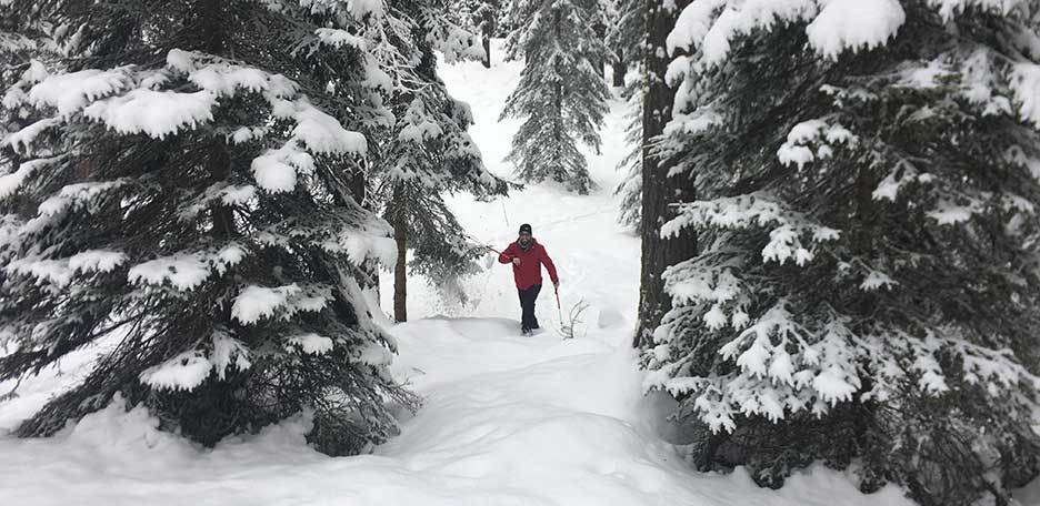 Snowshoeing in the Cortina d'Ampezzo Woods