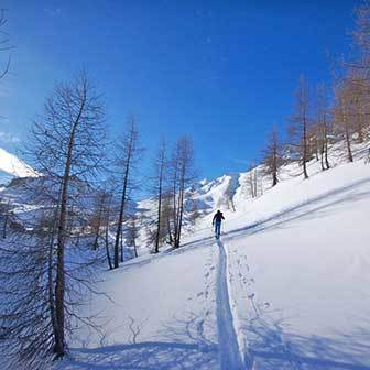Ski Mountaineering to Forca Rossa, Marmolada Range