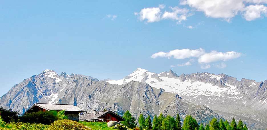 Presanella Normal Route from Denza Hut