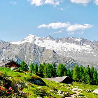 Presanella Normal Route from Denza Hut