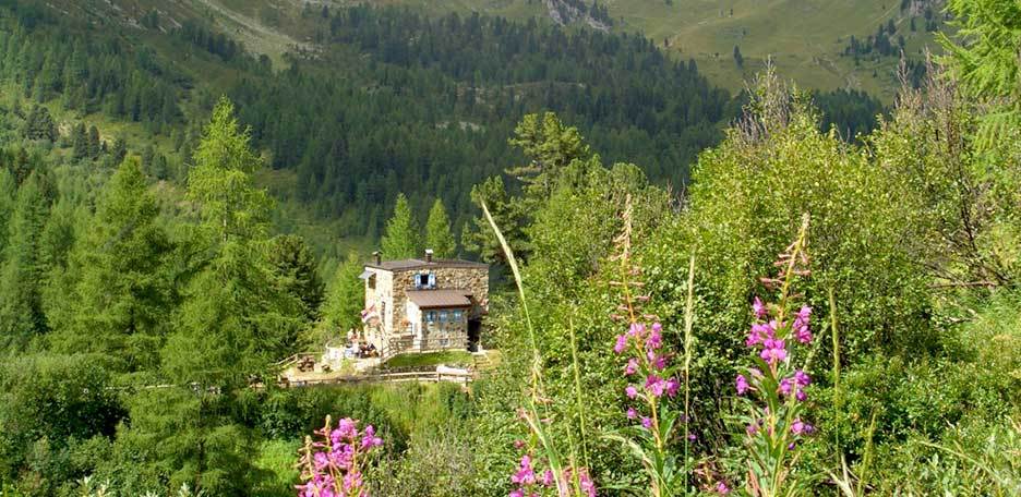 Excursion in Val Monzoni to Rifugio Taramelli