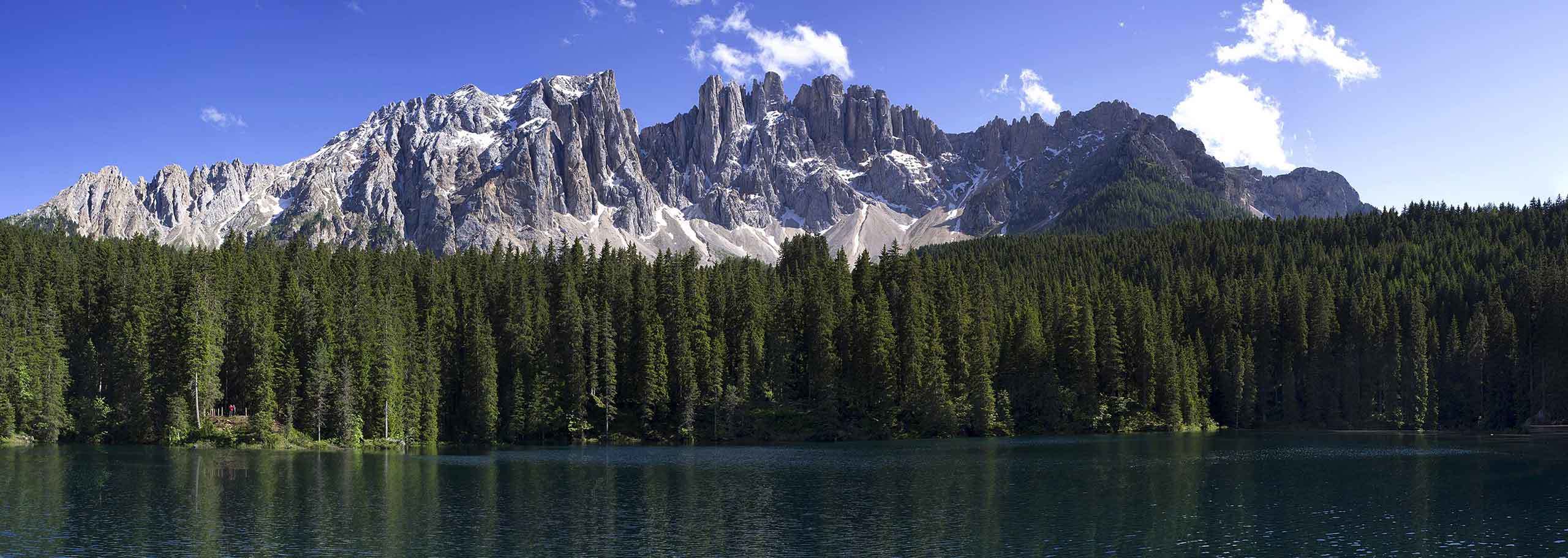 Hiking in Carezza, Guided Trekking Experience