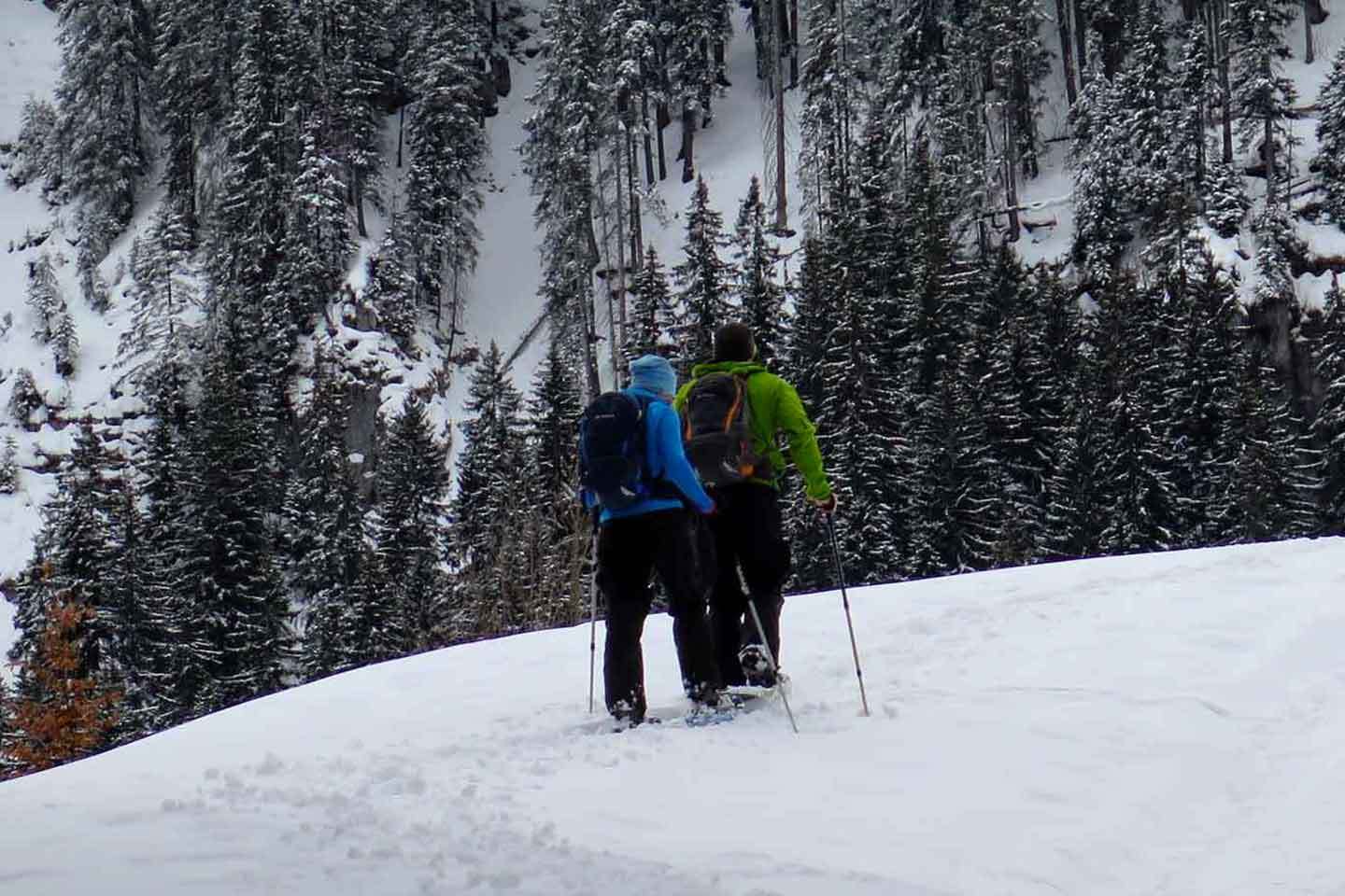 Snowshoeing in Maira Valley, Guided Snowshoes Trips