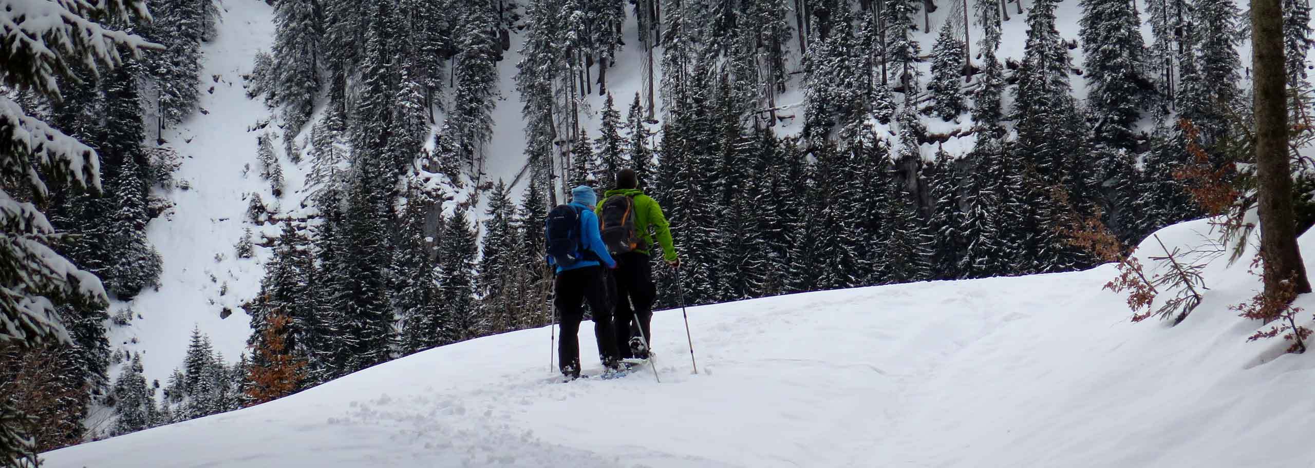 Snowshoeing in Livigno with a Mountain Guide