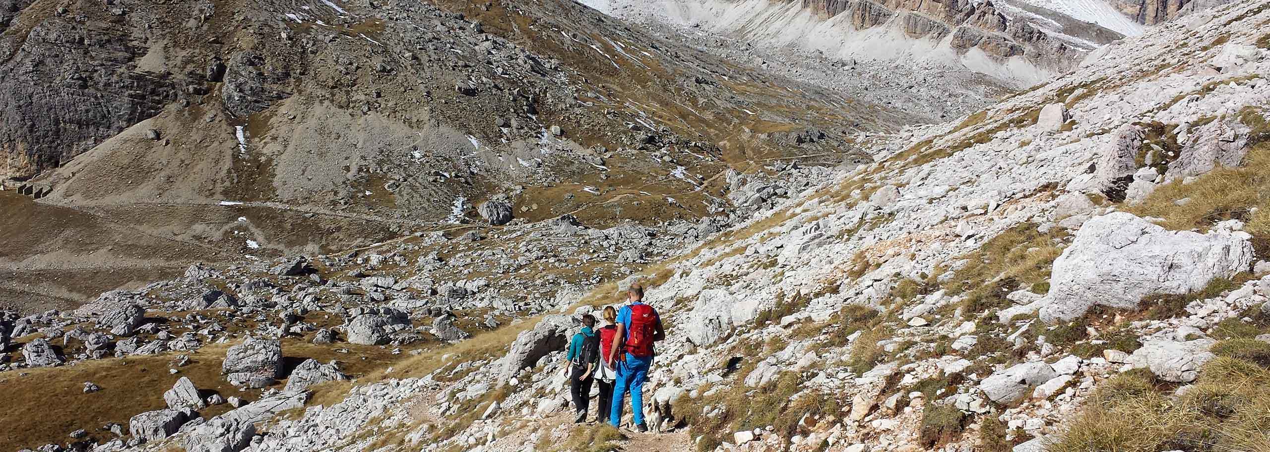 Trekking with a Mountain Guide at Falcade