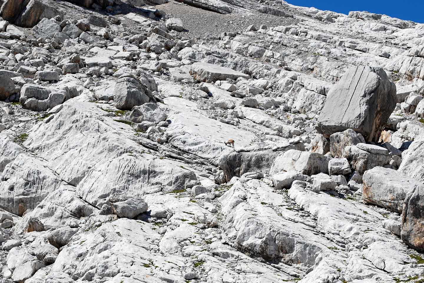 Alta Via delle Dolomiti n. 4 - Sorapiss