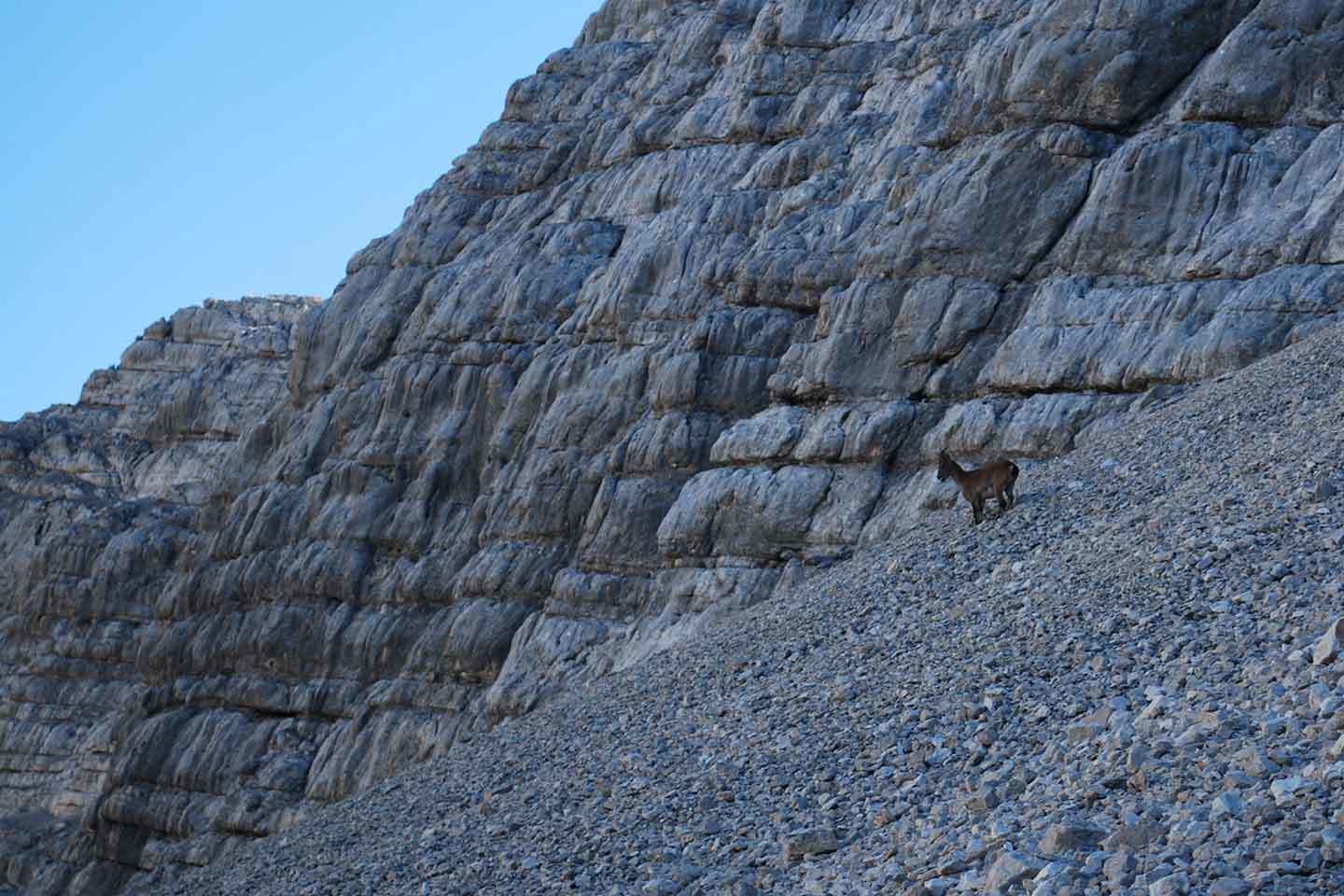 Ferrata Berti to Croda Marcora