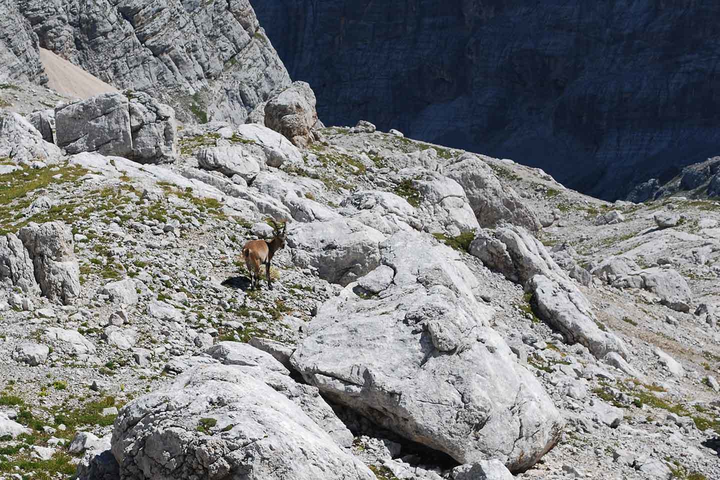 Ferrata Berti to Croda Marcora