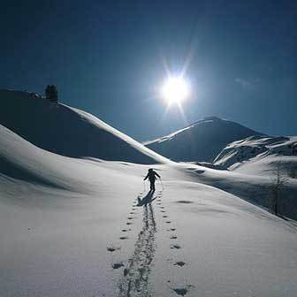 Ski Mountaineering to Cima Cavallazza in the Lagorai Range