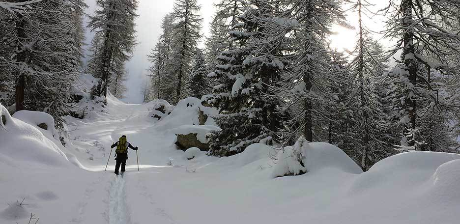 Ski Mountaineering to Cima Folga in the Lagorai Range