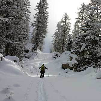 Ski Mountaineering to Cima Folga in the Lagorai Range