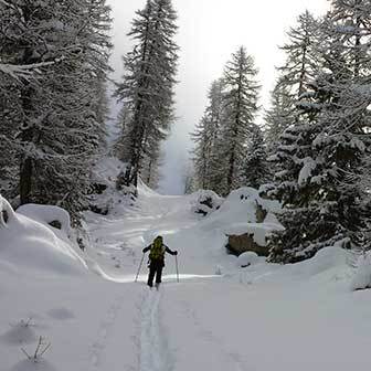 Sci Alpinismo a Cima Folga in Lagorai