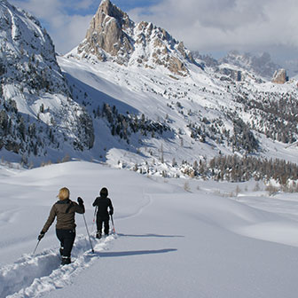 Ciaspolata alla Forcella Giau e al Mondeval