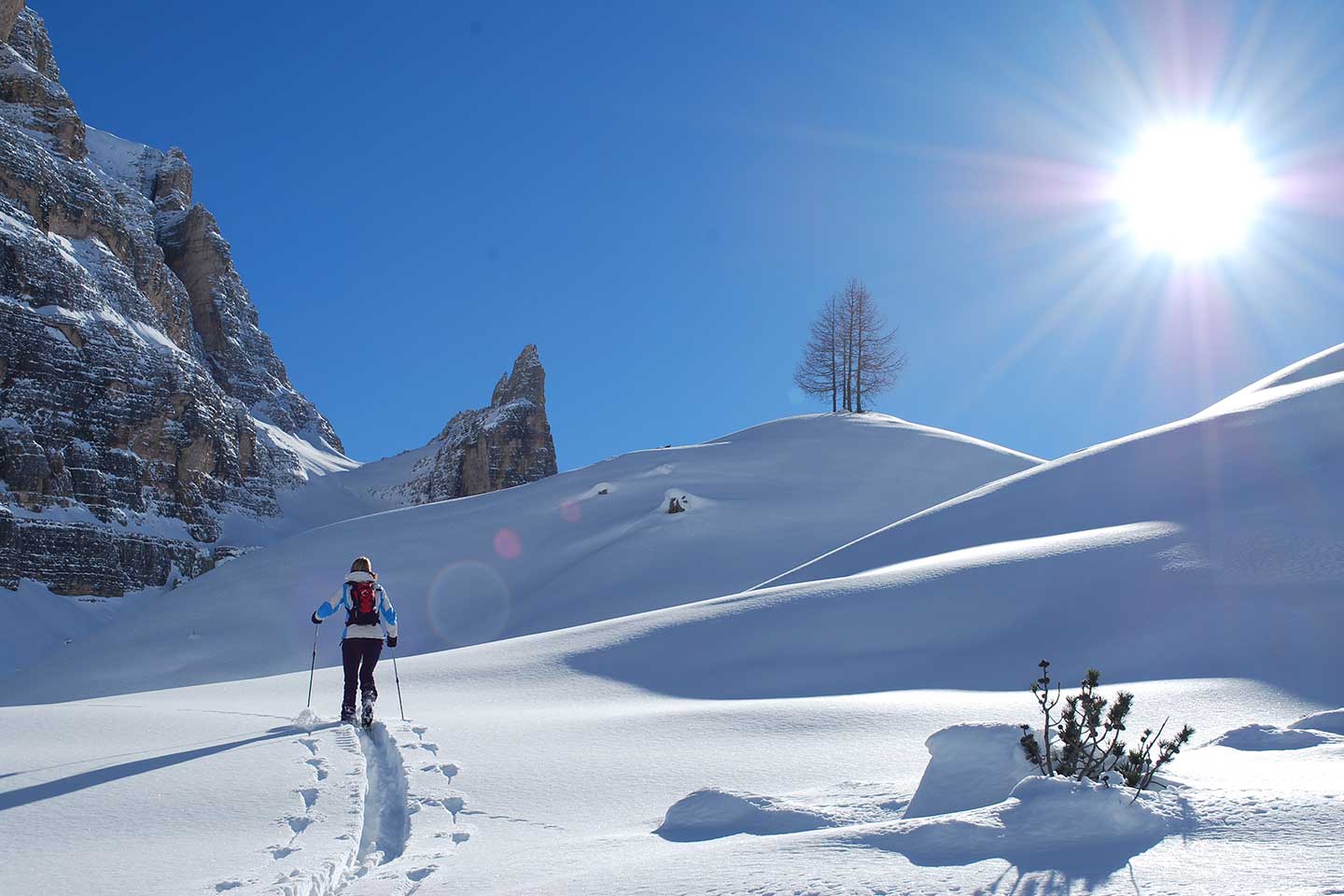 Ski Mountaineering to Forcella Grande in the Fanis Group