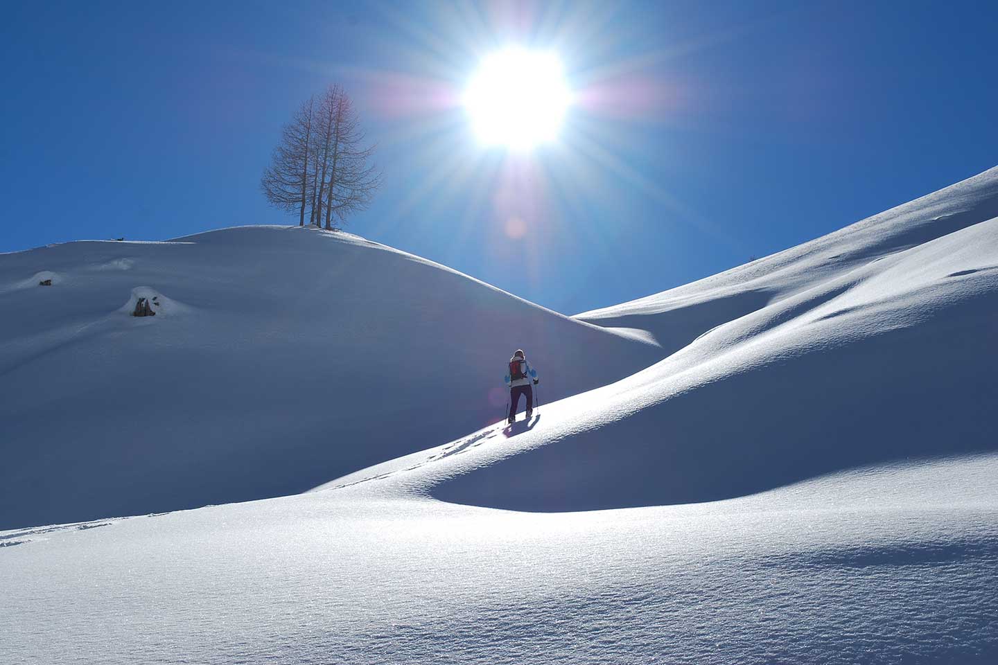 Ski Mountaineering to Forcella Grande in the Fanis Group