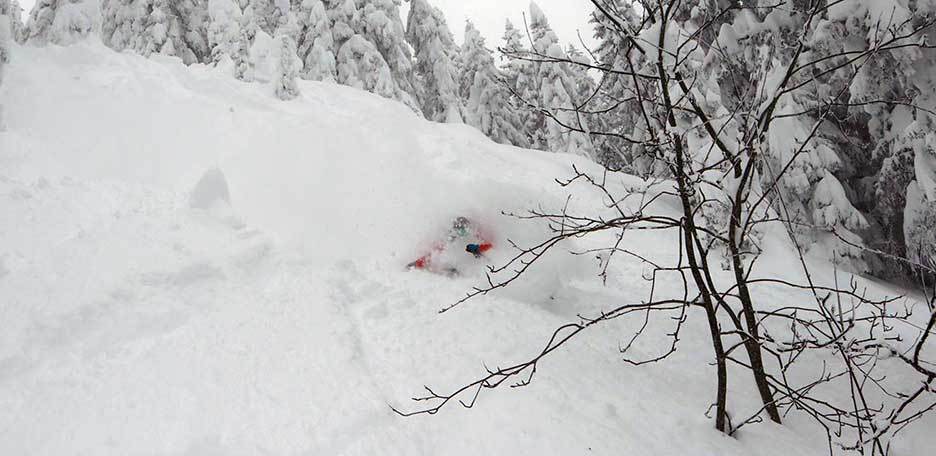 Freeride Skiing in Gressoney, Off-piste Alpe Netscho