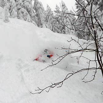 Freeride Skiing in Gressoney, Off-piste Alpe Netscho