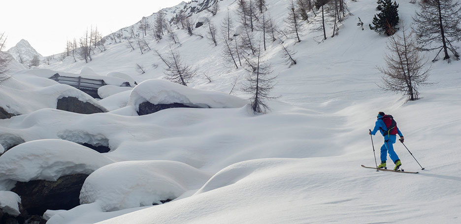 Sci Alpinismo a Cima Marmotta dalla Val Martello