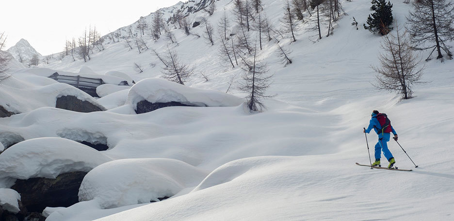 Ski Mountaineering to Cima Marmotta from Val Martello