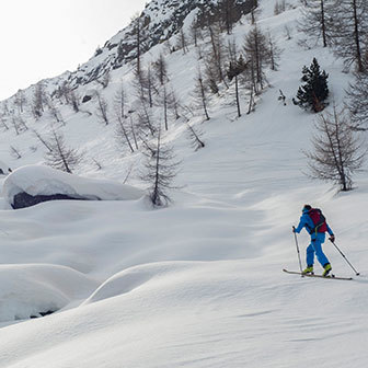 Ski Mountaineering to Cima Marmotta from Val Martello