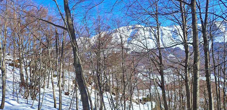 Ski Mountaineering to Monte Mileto from Passo San Leonardo