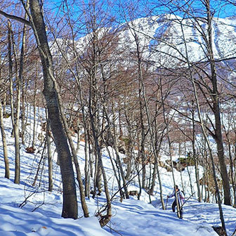 Ski Mountaineering to Monte Mileto from Passo San Leonardo