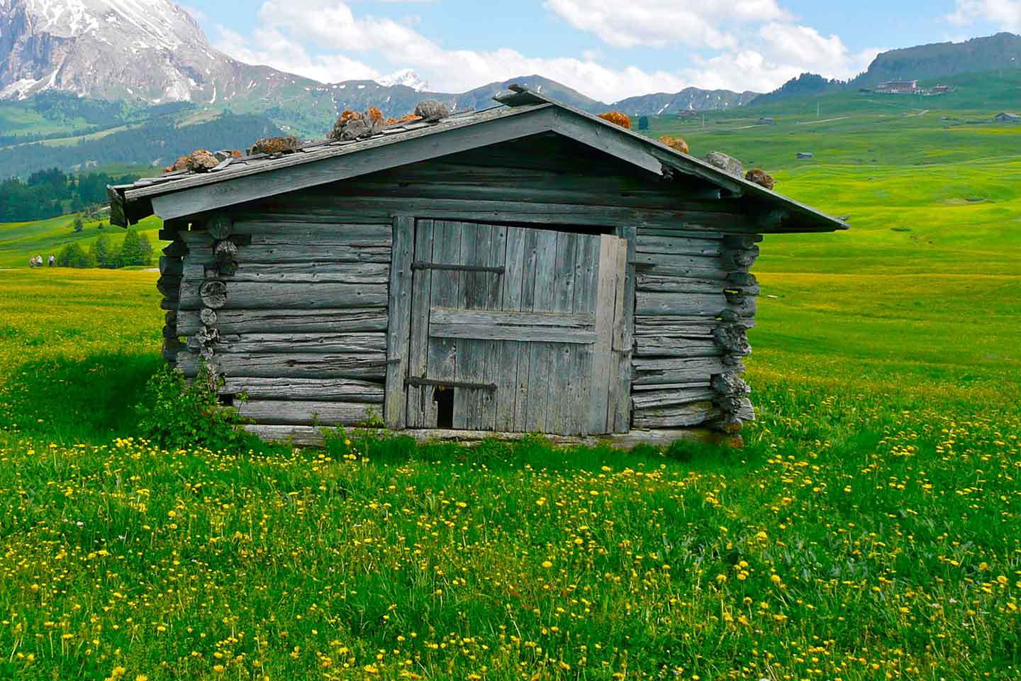 Traversata dal Col Rodella al Rifugio Sassopiatto