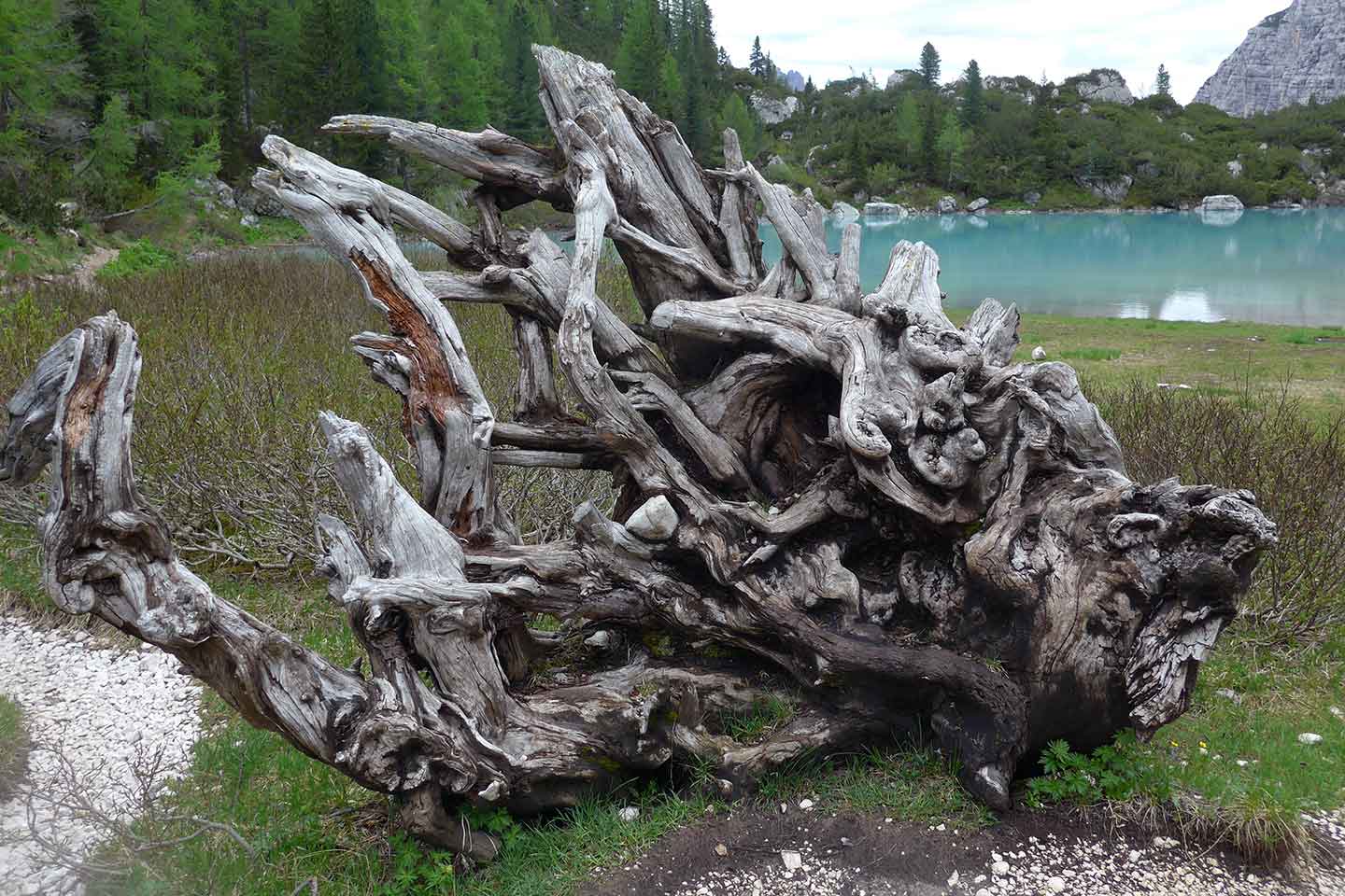 Trekking al Lago del Sorapiss