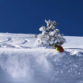 Freeride Skiing in Alagna to Passo Zube and Val d'Otro