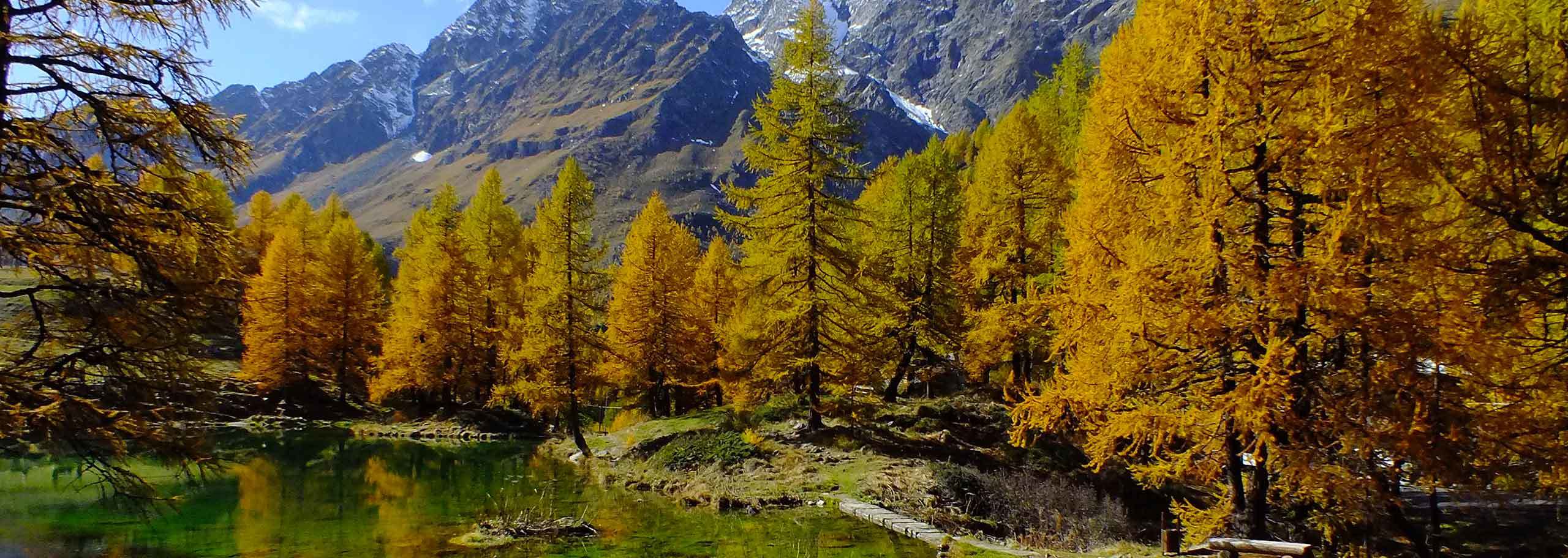 Hiking in Alagna Valsesia, Trekking & Walking Tours