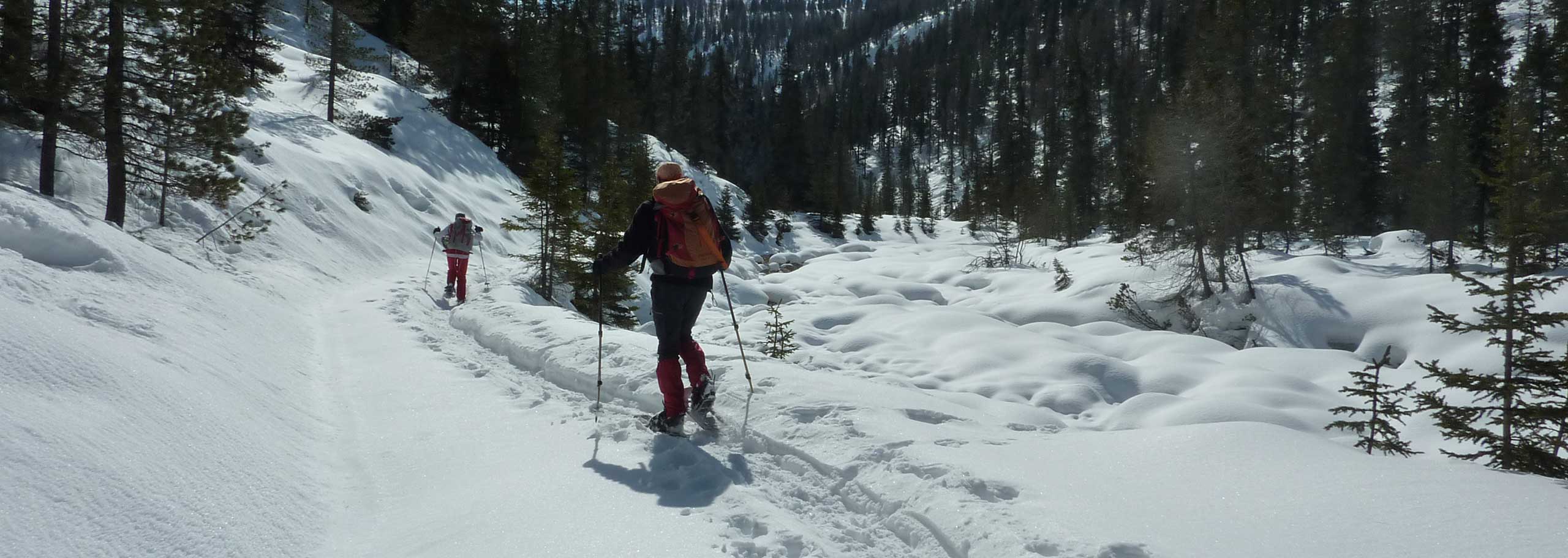 Snowshoeing with a Mountain Guide in Valle Aurina and Valle di Tures