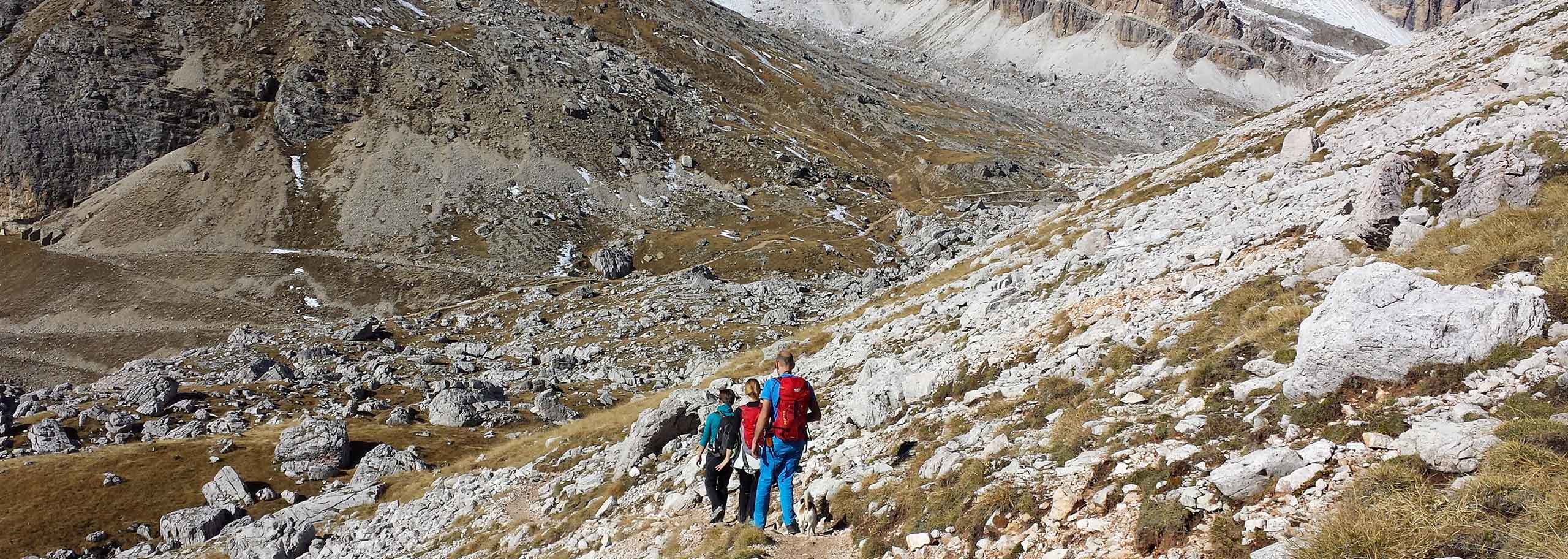 Trekking a Falcade, Escursioni e Camminate Guidate