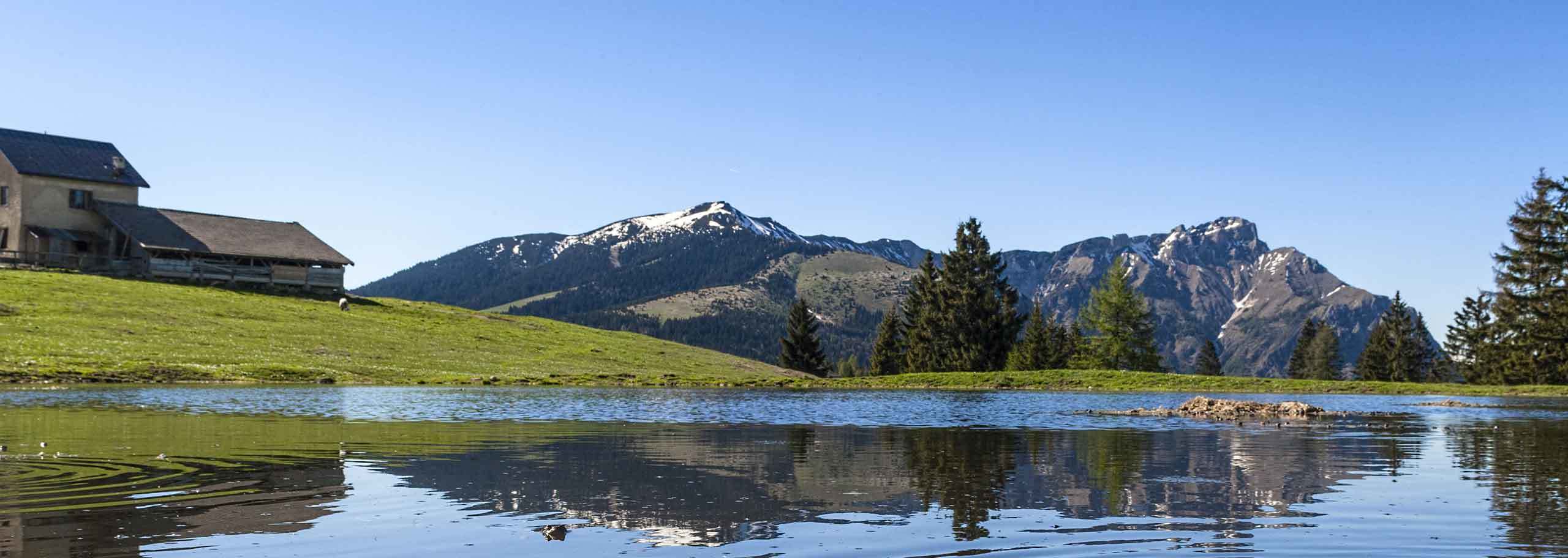 Trekking con Guida Alpina a Folgaria, Lavarone e Luserna