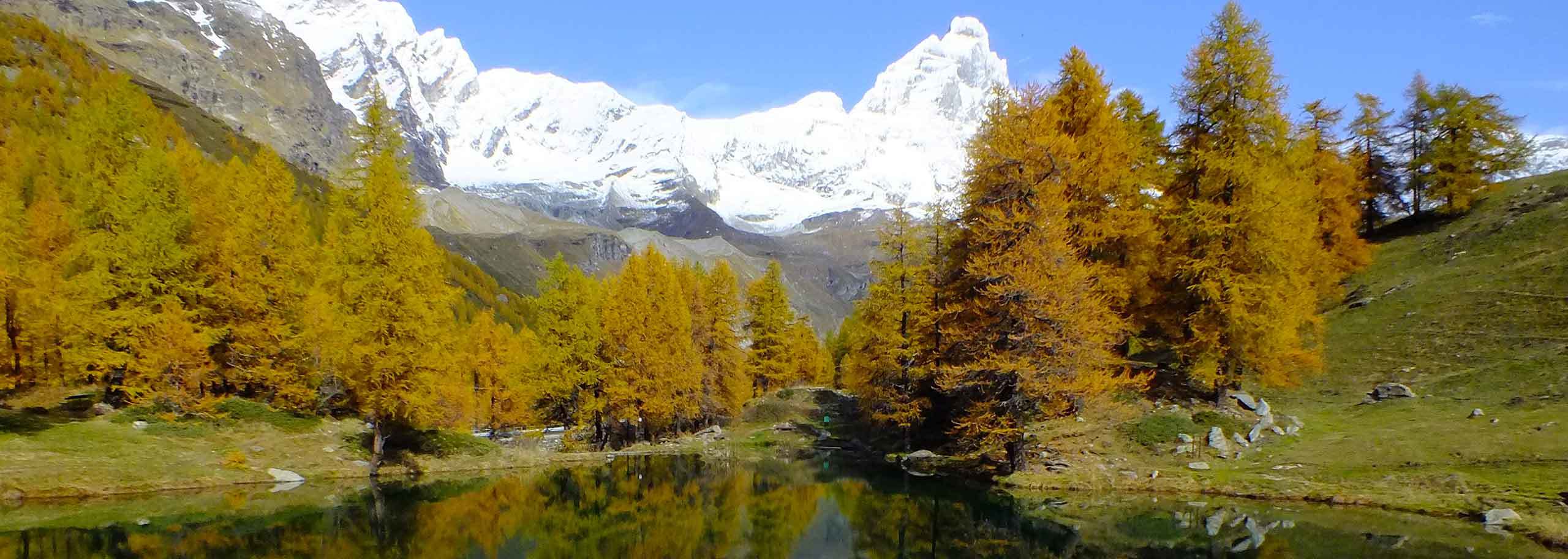 Escursioni a Gressoney, Trekking e Camminate con Guida Alpina