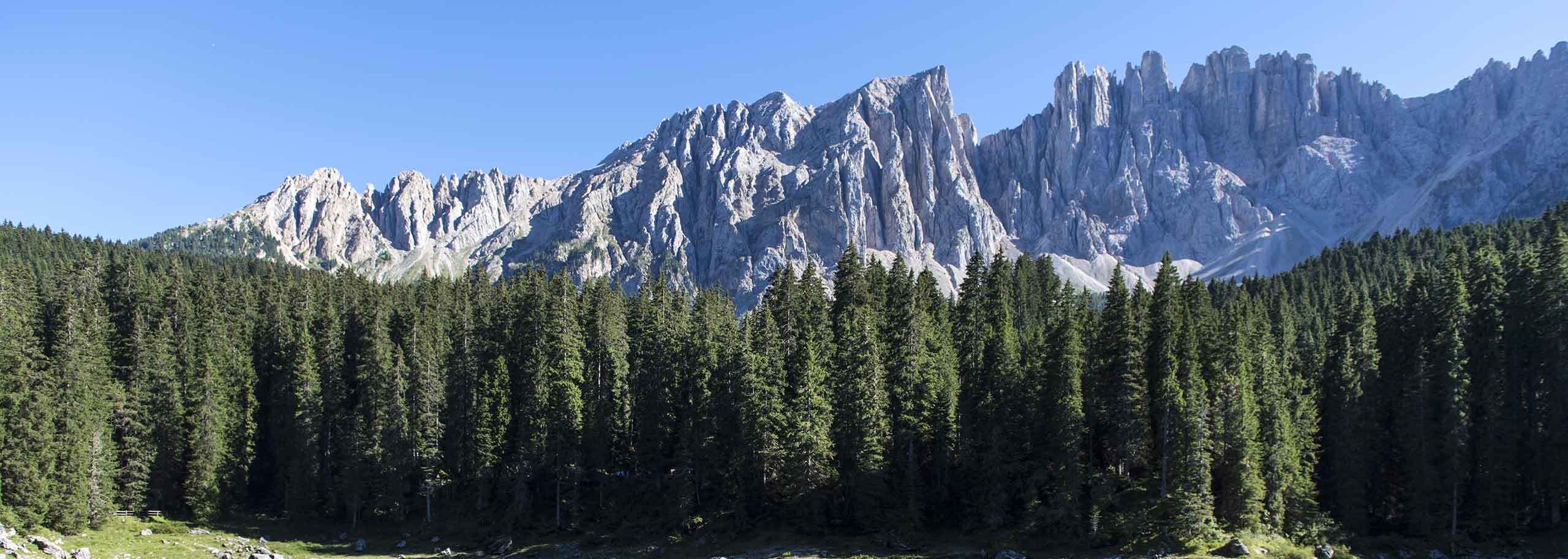 Hiking in Obereggen, Guided Trekking trip in Latemar