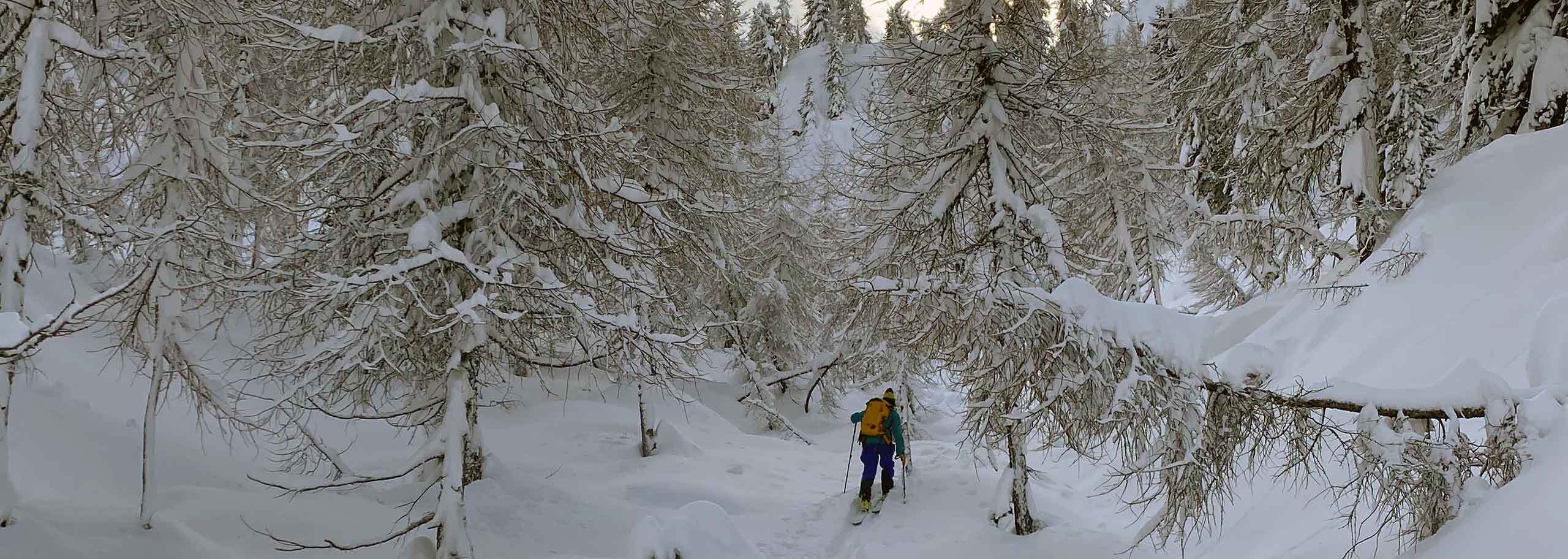 Sci Alpinismo a La Thuile, Escursioni Sci Alpinistiche in Piccolo San Bernardo