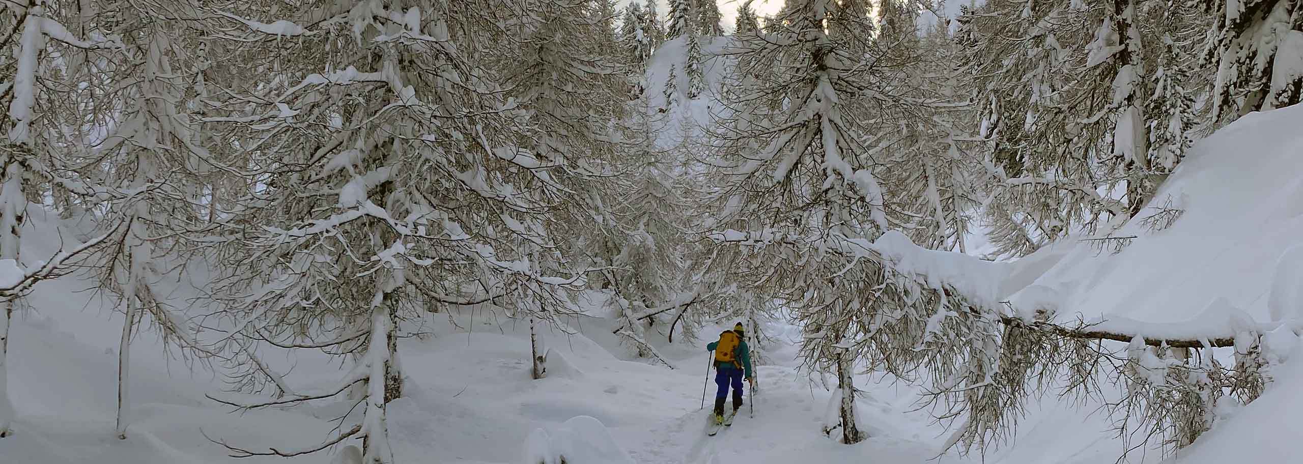 Ski Mountaineering in La Thuile with Mountain Guide