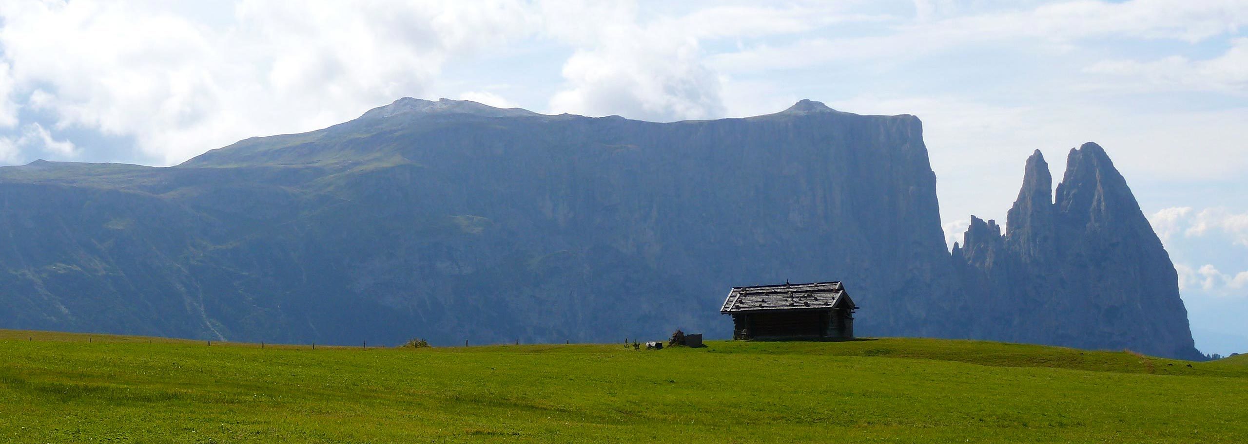 Alpe di Siusi Mountain Guides
