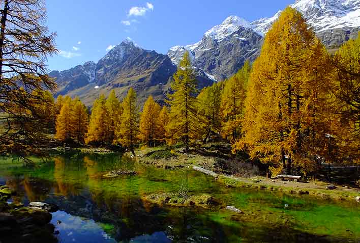 Mountain Guides in Alagna