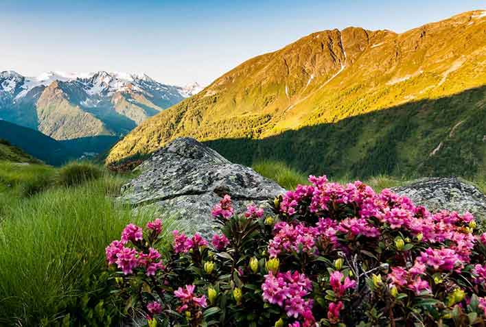 Ponte di Legno Tonale Mountain Guides